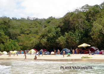 Nudistas Venezolanos